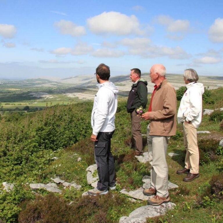 Burren view