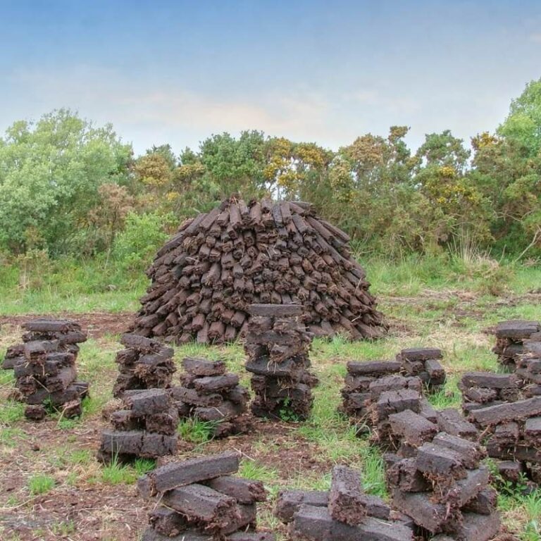 Turf Cutting Experience